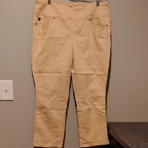 Belle by Kim Gravel Tan Boot Cut Pants